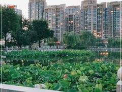 -木塔寺遗址生态公园