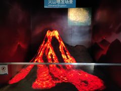 -安徽省地质博物馆