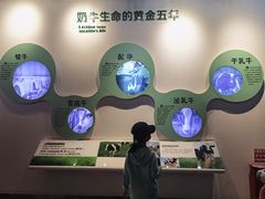 -君乐宝优致牧场