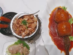 -丁老爷子苏香圆