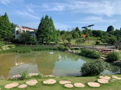 -铁山坪森林公园