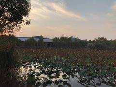 -扬州天乐湖嬉乐谷