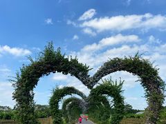 -迪茵湖田家舍生态农场
