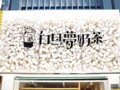 -白日梦奶茶