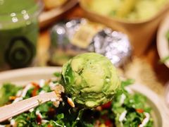 -油梨树AVOCADO TREE(嘉里中心店)