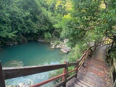 -广州白江湖森林公园