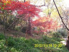 -紫金山索道-售票处