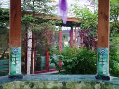 -汉拿山温泉度假酒店