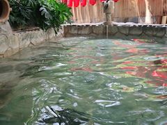 -云涛森林温泉