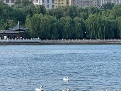 -迎泽公园