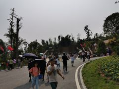 -枫香湖儿童公园