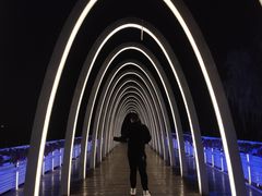 -大兴滨河森林公园