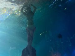 -海棠湾洲际-涛·海底餐厅·美人鱼·自助餐·海底隧道