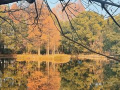 -东湖落雁景区