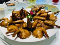 光明乳鸽-光明招待所(邦凯科技园店)