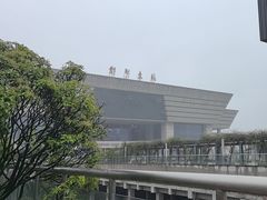 -郑州东站