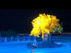 -鼎盛王朝康熙大典实景演出