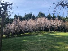 -上海市龙华烈士陵园