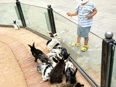 -鄂尔多斯野生动物园