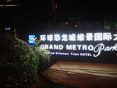 -常州环球恐龙城维景国际大酒店