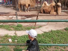 -祥源·阜阳生态乐园