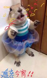 -茶发Salon·烫发染发理发