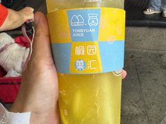 -桐园果汇(湖贝店)