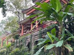-南山植物园