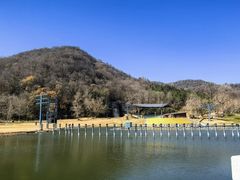 -千年银杏谷文化旅游区