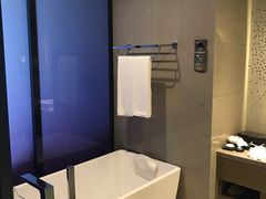 -南京禄口机场雅高铂尔曼大酒店