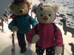 -济州岛泰迪熊博物馆