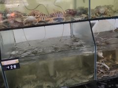 -岛中岛·海鲜大排档·万宁老字号(东澳店)