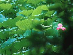 -兰亭风景区