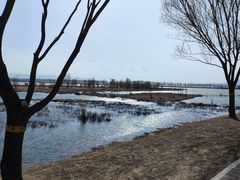 -野鸭湖国家湿地公园