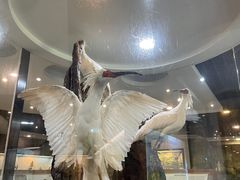 -下渚湖国家湿地公园科普馆