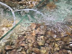 -四海蒸鲜蒸汽海鲜自助(北戴河店)