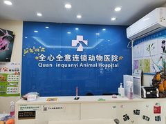 -全心全意连锁动物医院·微创中心·内科急重症·心脏专科(丰管路店)