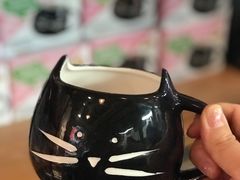 -猫咪博物馆(顶澳仔猫街店)