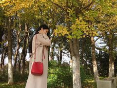 -尚贤河湿地