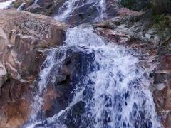 -海南霸王岭国家森林公园