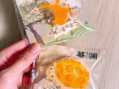 -岭南站NOVA