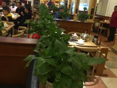 大堂-守柴炉烤鸭(中海国际店)