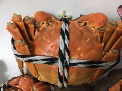 -喜洋洋蟹庄(阳澄湖店)