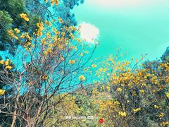 -白云山风景名胜区