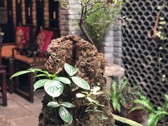 -鱼桥巷·美学川菜