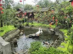 -青城甲(青城山店)