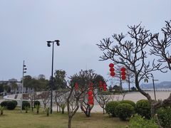 -西堤公园