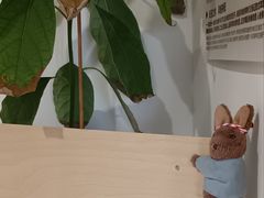 -纽巷咖啡 SOFTFOCUS COFFEE(锦和巴黎时韵店)