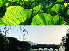 -华清宫景区