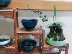 -畅和茶坊·曦瓜中国大红袍